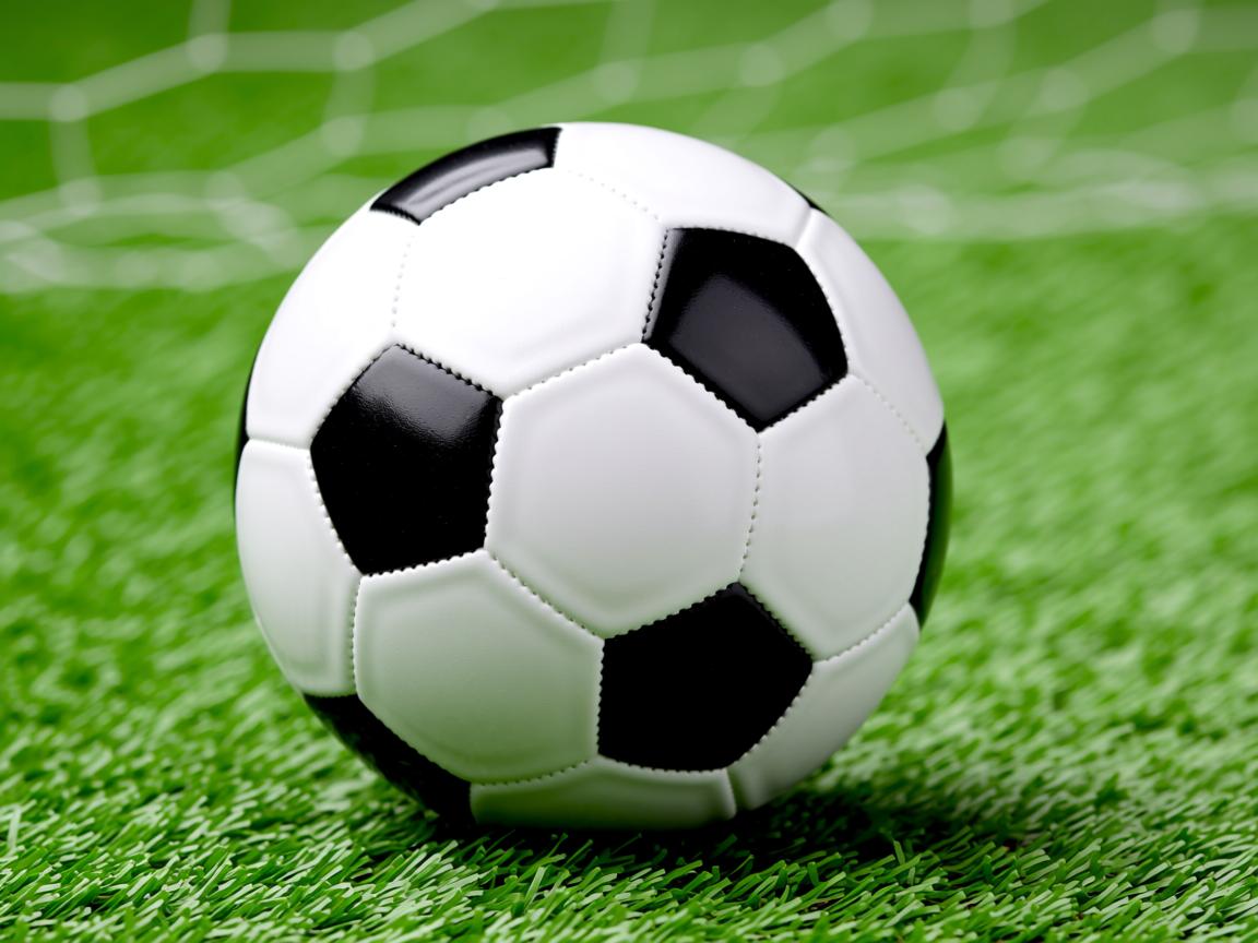 开云体育在线登入-亚洲名将在北美主场上展现顶尖篮球技术